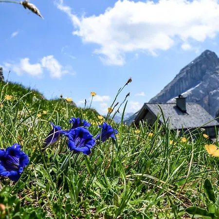 דירה Haus Sonnenschein Watzmann Schönau am Königssee