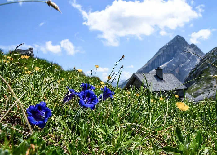 דירה Haus Sonnenschein Watzmann Schönau am Königssee